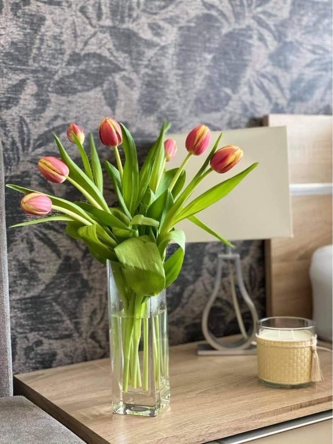 Lake And Spa Apartman Velence Exteriér fotografie